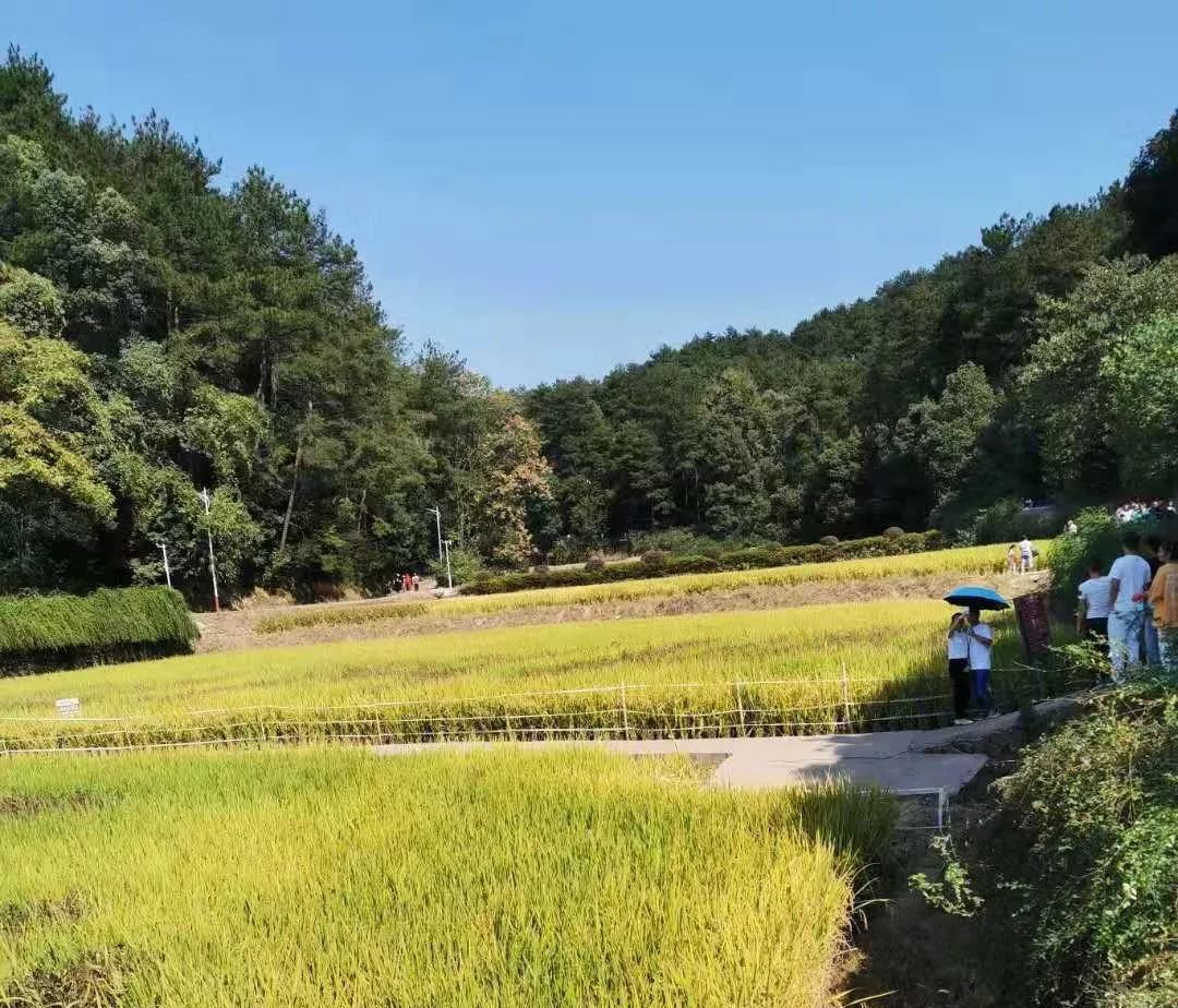 利来国际最老品牌网人赴韶山毛泽东故居